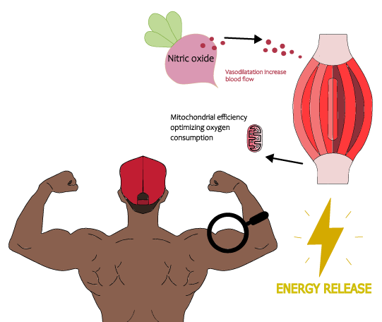 Energy Release