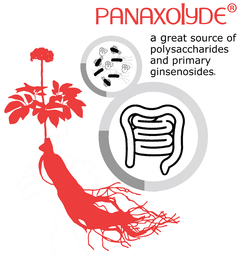 Panaxolyde® prebiotic
