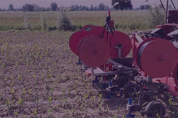 Agricolture