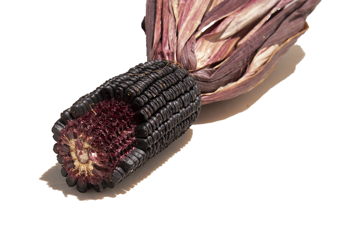 Purple corn