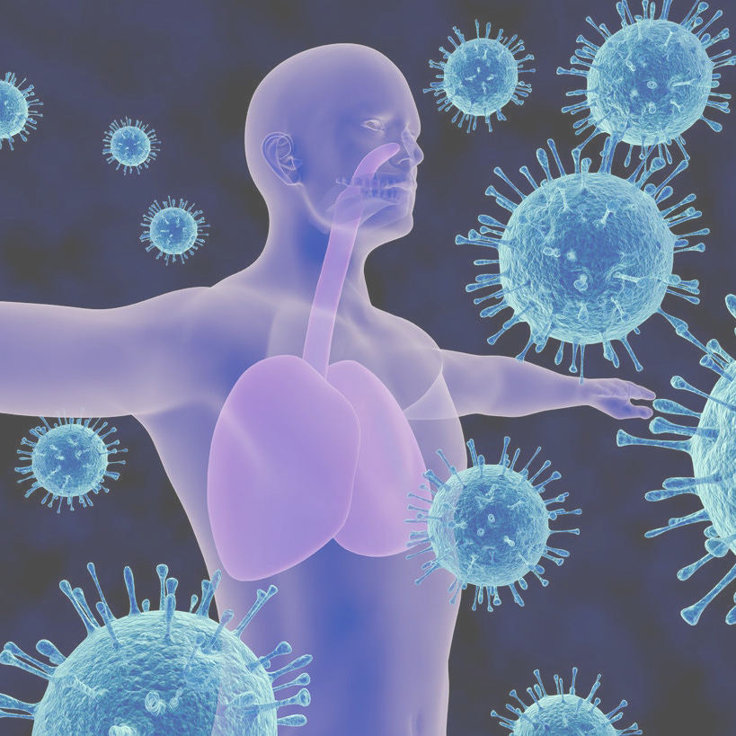 Immune System