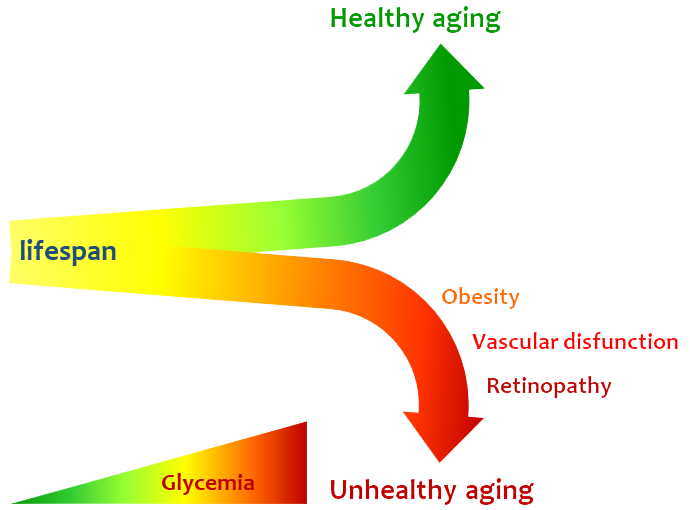 glycemia-induced.png