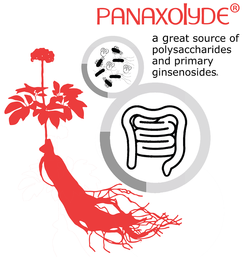 Antioxidant Activity