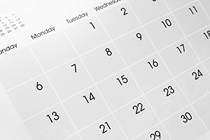 Project Calendar